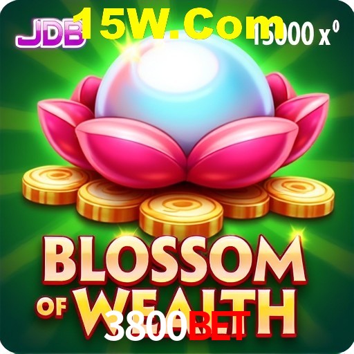 Interface do App 3800Bet