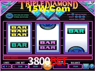 3800Bet - Winners Celebration