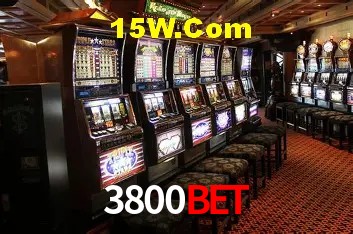 3800Bet - User Statistics
