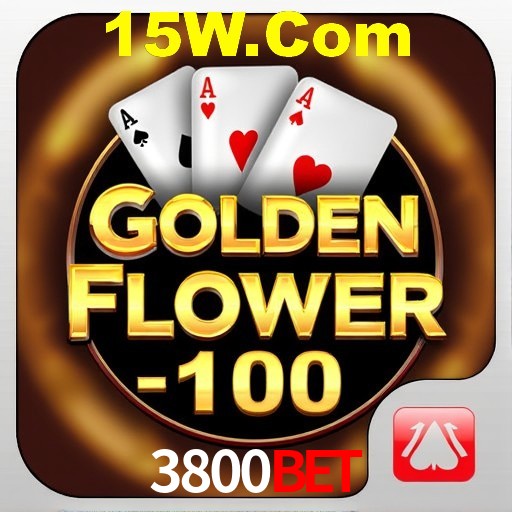 Interface do App 3800Bet